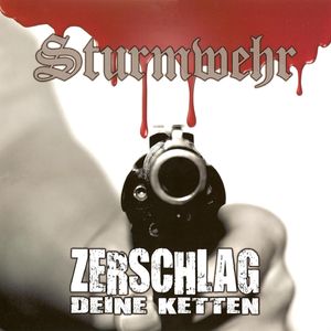 Sturmwehr - Zerschlag Deine Ketten - LP (2008) (1).jpg